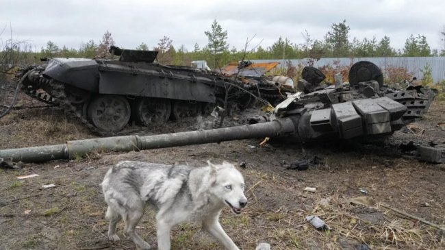 Російські резерви в Запорізькій області виснажилися через великі втрати