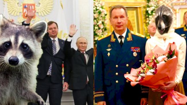 Окупанти викрали єнота з Херсонського зоопарку: мережа вибухнула жартами та мемами