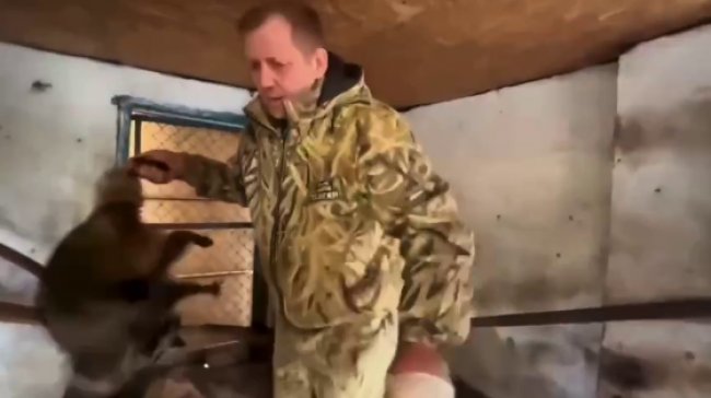 Єнота та інших тварин із зоопарку Херсона вкрало російське військове командування: їх вивезли до Криму