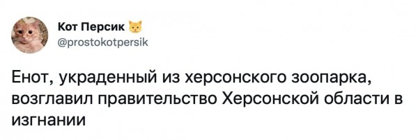 Єнот очолив уряд Херсонської області у вигнанні Єнот очолив уряд Херсонської області у вигнанні
