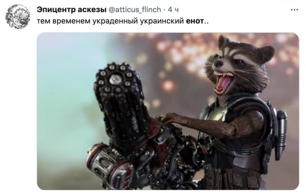 Даремно окупанти вкрали херсонського єнота Даремно окупанти вкрали херсонського єнота